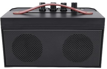 Alomejor Haut-Parleur pour Guitare Acoustique avec Fonction de Réverbération de Distorsion pour Performances de Rue, Amplificateur 30 W avec Son Clair pour Guitaristes électroacoustiques, Noir