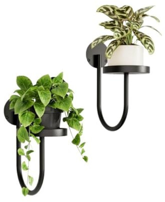 Support mural pour plantes d'intérieur, lot de 2 supports pour pots de fleurs, support en métal pour pothos flottant, étagères décoratives pour le salon, la cuisine, le bureau et la salle de bain