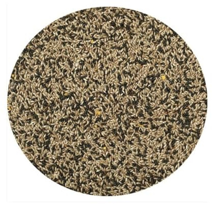 Canary Seed 3kg Mixed Canary Food Feed For Caged Canaries Aviary Canaries etc