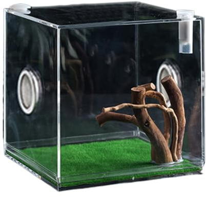6,5 x 6,5 x 6,5 cm sin luces LED, contenedor de vidrio transparente para reptiles, terrario de crecimiento de reptiles, multiusos, pequeño contenedor para mascotas, accesorios para caracoles, lagartos