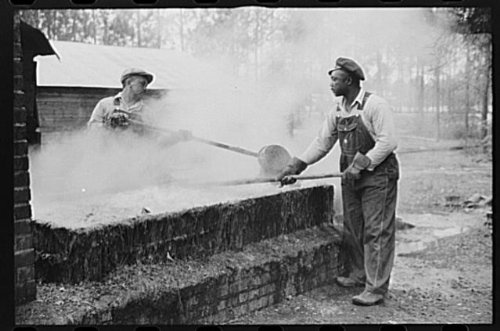 HistoricalFindings Photo: Turpentine,Pembroke,Georgia,GA,Bryan County,FSA,Farm Security Administration,2