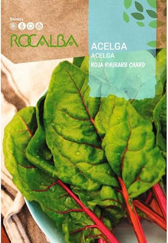 Sobre Semillas Acelga Roja RHUBARB CHARD