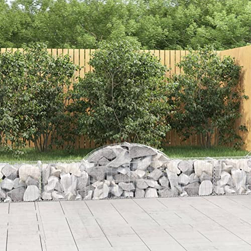 Snsowed Cesti Gabbioni ad Arco 5 pz 200x30x40/60 cm Ferro Zincato,Gabbioni,Cesti Gabbioni ad Arco,Gabbioni da Giardino,Gabbioni Metallici per Pietre-3146050