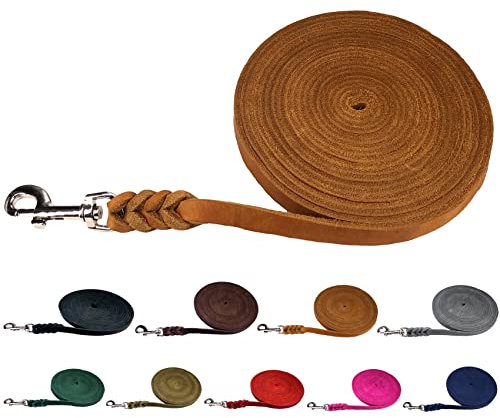 Hundeleine Fettleder Schleppleine kleine Hunde/Schleppleine große Hunde 3m / 5m / 10m / 15m / 20m Lederleine (Braun MIT Handschlaufe, 5m / 15mm)