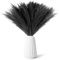 30 Stücke Pampasgras Trockenblumen Schwarz,Naturalnh Künstlicher Pampasgra,Deko Pampas Gras Flauschig,Pampasgras Künstlich,Trockenblumen Deko Boho for Hochzeit und Heimdekoration