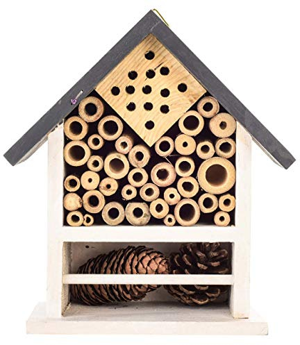 Wooden Bee, Ladybirds and Insects Bug House and Nesting box