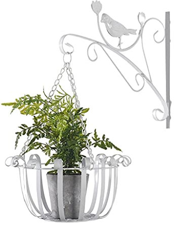 Contenants et Accessoires pour Plantes Support de Fleur Suspendu créatif en Fer forgé Support Mural Panier Suspendu en Pot Panier de Fleurs à l'aneth Vert d'extérieur Décoration Florale de Couloir de