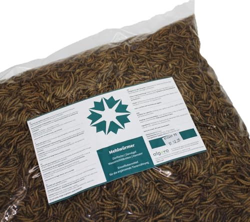 Torkade mjölmaskar – naturligt insektsfoder för prydnadsfiskar, prydnadsfåglar, sköldpaddor, igelkott (10 kg)