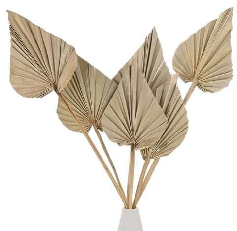 M METERXITY 6-Park Dried Palm Leaves 13.7x3.9 Natural Dried Real Palm Fans Palm Leaves Bulk for Boho Wedding/Home Bouquets Decorations Dried Gold Palm Leaf with Stem [Primary Color]