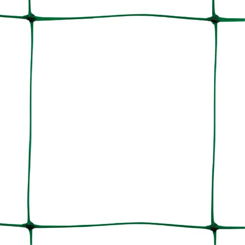 TENAX Filet à Ramer Flora 2,00x5 m Vert, Filet pour Plantes Grimpantes, Dans le Potager Facilite la Croissance des Tomates, Haricots, Légumes, Fleurs et Plantes Grimpantes, Emballage en Filet