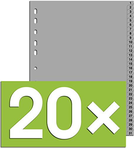 20er Packung Durable Hunke & Jochheim Register 1 - 31, (PP, DIN A4, 215/230 x 297 mm) 31 Blatt grau (20, Register 1 - 31)