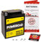 Gel-Batterie für BMW F 650 GS/Dakar, 2000-2008, wartungsfrei, einbaufertig, startklar, inkl. 7,50€ Pfand