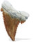 Starborn Original prähistorisches Fossil Palaeocarcharodon, Größe M, 1 Stück, Medium, Edelstein, Apatit, Beige