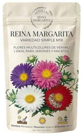 DECOALIVE Semillas de Margarita Reina para Cultivo en Exterior Soleado – Planta Ornamental de Floración Abundante