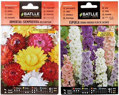 Batlle - Semillas De Inmortal Siempreviva Flor De Papel & Espuela - ENANA - Flor de Jacinto