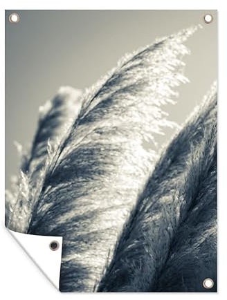 MuchoWow Poster exterieur Herbe de la pampa - Noir - Blanc - Nature Decoration murale 30x40 cm Résistant aux intempéries/soleil