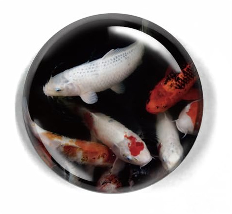 LWAY Paperweight 80mm Crystal Dome (CARP)