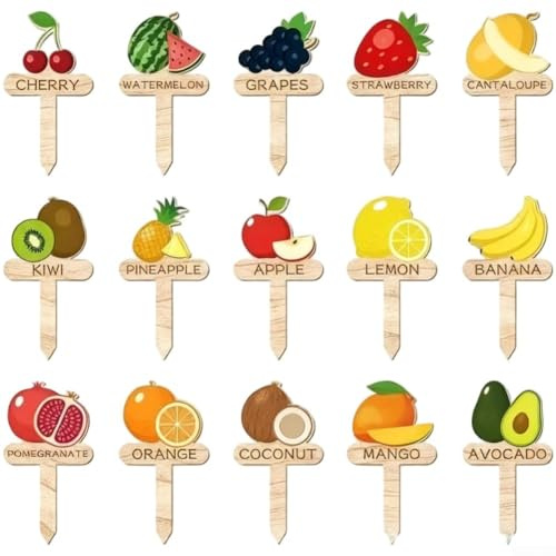 Juego de 15 marcadores de madera en forma de T con imágenes de dibujos animados y nombres de plantas para etiquetado de jardín interior y exterior (D)