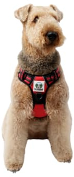 Scoobro Arnés 3 en 1 para Perro: Cómodo y Transpirable Anti-tirones, con Correa, Acolchado con Líneas Reflectantes y Doble Enganche Metálico (Rojo Mediano M)