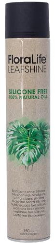 Flowerbox Oasis FLORALIFE Blattglanz ohne Silikone 750 ml Spray Glanzspray Blattpflege für Zimmerpflanzen Grünpflanzen