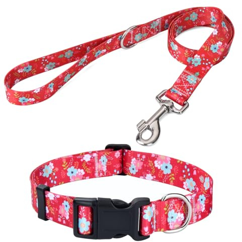 Mihqy Dog Collar and Leash Set, for Medium Dogs, Red Floral Set,M