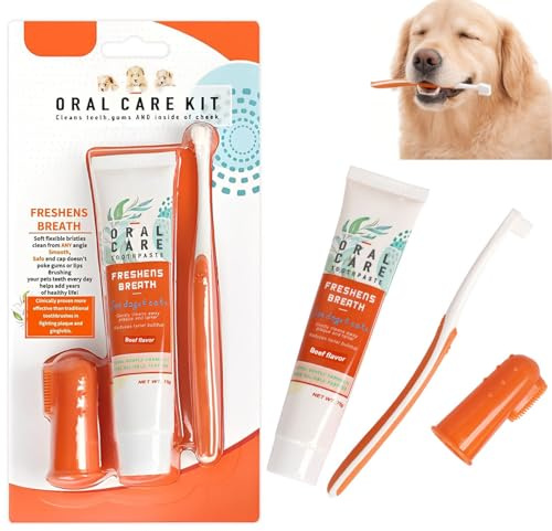 Hunde Zahnpflege Set, Hundezahnpasta gegen Zahnstein und Mundgeruch, für Hund und Katzen Entfernt Plaque und Mundgeruch (orange Farbe)
