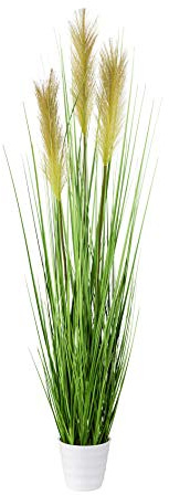 Konstväxt gräs, dekorativt gräs, gräsmuggar i vit kruka (95 cm)