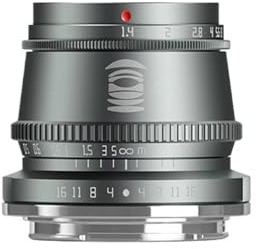 Camera Lens, Objetivo for fotografía de Retrato con Enfoque Manual APS-C de 17 mm f/1.4, Compatible con Sony E, Fuji X, Canon M, M43(50mm F1.2,Silver,XF)