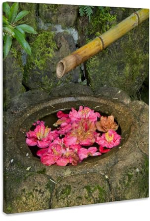 3dRose Water basin, flowers, Portland Japanese Garden, Portland, Oregon, USA Museum Grade Canvas Wrap 11x14