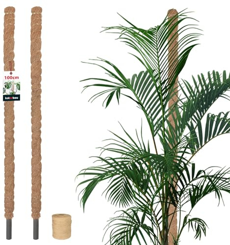 KOTARBAU® 2 pcs Plant Support - Monstera Support - Coconut Fibre - ⌀ 2.5 x 100 cm (⌀ 1 x 39.4 inches) - Brown - Plant Pole - for Climbing Plants Indoor - Plants Stakes Indoor