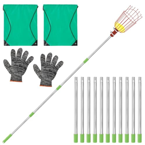 4M/6M Fruit Picker, Apples Picker, Telescopic Stainless Steel Fruit Grabber with Basket for Apples Oranges Avocados, Lightweight Long Reach Picking Tool(6 Meters)