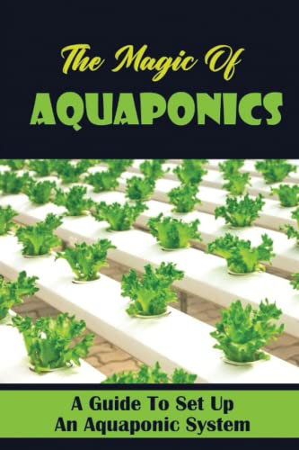 The Magic Of Aquaponics: A Guide To Set Up An Aquaponic System