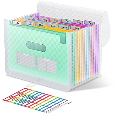 ThinkTex Accordian Aktenordner, 12 Fächer, erweiterbare Aktenordner, tragbarer monatlicher Rechnungsbeleg-Organizer, bunte Registerkarten, A4-Größe – grün