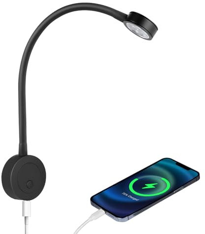 acegoo Leselampe 12V LED Dimmbar Bett Lampe, Flexible Wandmontage Schwanenhals Nachttisch DC 12-24V 3200K mit Dimmerschalter & Type-C-Ladegerät, für Boot Wohnmobil Auto Camper Van Yacht (1 pcs)
