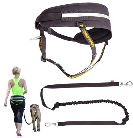 Dingo Multifunktions Lauf-Gürtel+Hundeleine mit Zwei Karabiner Leine mit Ruckdämpfer Schwarz Canicross zum Joggen mit dem Hund Dogtrekking,Skijöring Z30005