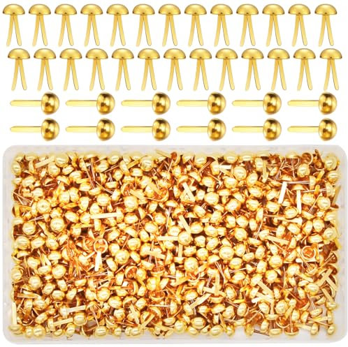 EuTengHao 700Pcs Messing-Befestigungselemente Scrapbooking Brads Runde Kopf Messing plated Fasteners für Handwerk Kunst Crafting Schule Projekt dekorative Scrapbooking DIY Supplies