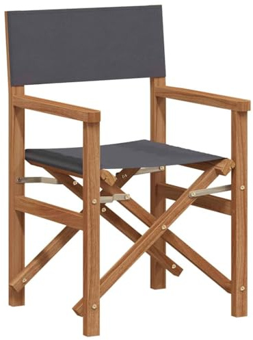 Genérico Silla de Director Plegable Gris 56 x 54 x 87 cm,Mobiliario,Muebles de jardín,Asientos de Exterior,Sillas de jardín,42008018