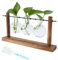 3Pcs Desktop Plant Propagation Glass Vase, with 1Brush, Station Retro Plant Terrarium with Wooden Tray Bulb Flower Vase Container for Propagating Hydroponic Plants Home Office Decor Plant Lover Gift