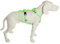 Feltmann No Exit ausbruchsicheres Hundegeschirr für Angsthund, Sicherheitsgeschirr für Pflegehunde, Panikgeschirr, Super Soft, neongrün, Bauchumfang 60-80 cm, 25 mm Bandbreite