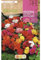 Peyca Bulbo de flor variedad Begonia non stop mezcla de colores 2 unidades - Rocalba