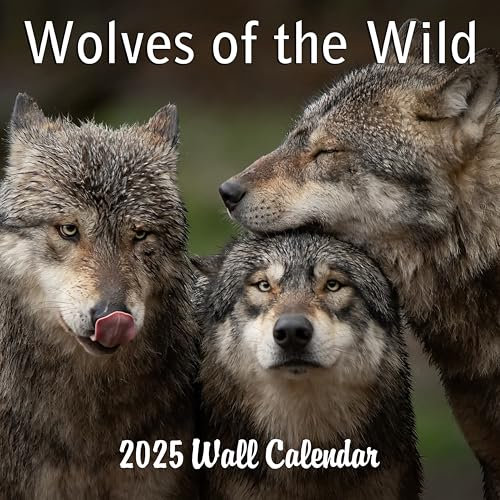 2027 Wolves of the Wild Monthly Wall Calendar | Wild Animals Calendar 2026-2027