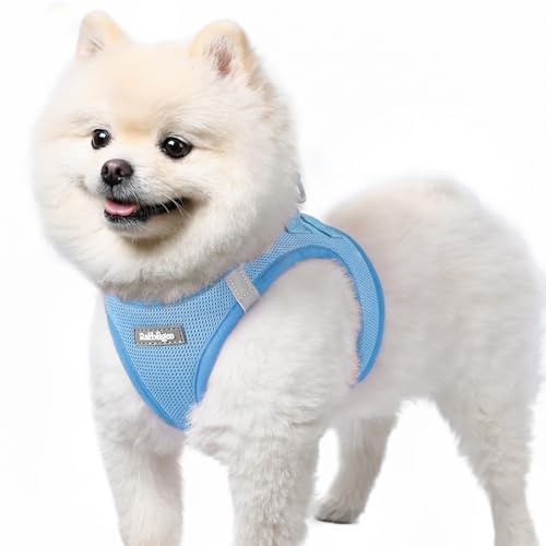 rabbitgoo Arnes Perro Pequeño Azul Ligero S, Arnés Antitirones para Perros Ajustable Fácil de Poner, Arnes Cachorro de Malla Suave Transpirable, Chaleco Reflectante para Perro Pequeño y Mediano