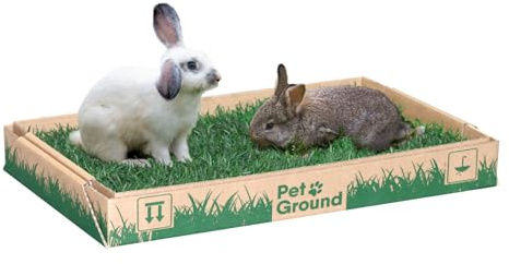 PetGround, Parque para Conejos, Casa de Césped Natural