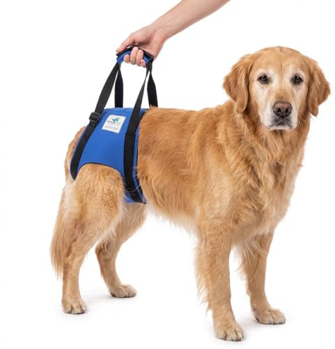 Nature Pet Aide au transport de chien à l'arrière - Sangle de transport réglable comme aide aux escaliers - Idéal pour les amis à quatre pattes âgés, malades ou opérés - Soutien pratique pour la