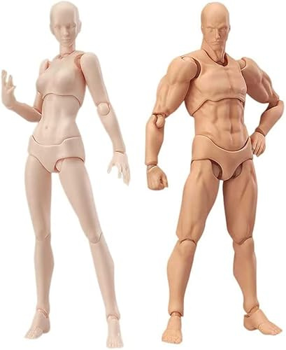 AXXHOTHO Figurines d'action, mannequin d'artiste, ensemble homme et femme, figurine articulée pour dessin, croquis et peinture (couleur)