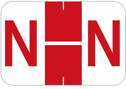 240 Stk Ordneretikett, Buchstaben Etiketten Buchstabe Abuchstaben Etiketten BCCR/BCCS-kompatibel TPAM-Serie 1 x 1-1/2 Etiketten Buchstaben Aufkleber Zuhause und Büro (N)