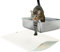 CanadianCat Company | Katzenklo Matte groß XXL Katzenstreu Matte, Vorleger für Katzentoilette, Katzenklo Matte, Katzenstreumatte, weiß, 80 x 65 cm