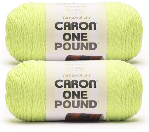 Caron One Pound Lime Mist Yarn - 2 Pack of 453.6g/16oz - 100% Acrylic - #4 Worsted (Medium) - 812 Yards - Knitting/Crochet