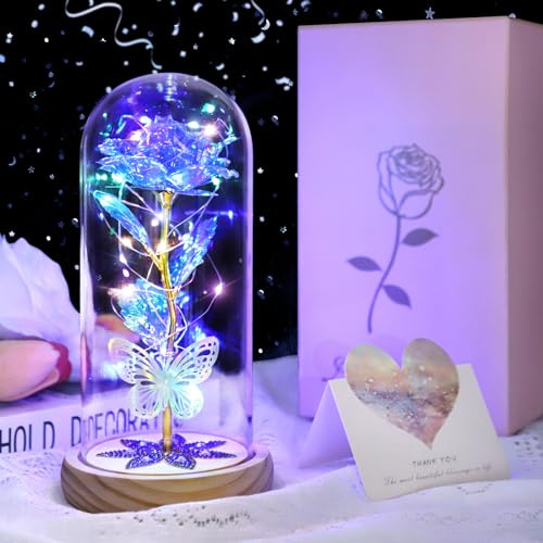 DOUUCO Preserved Rose Gifts for Women, Light Up Rose for Mothers Day Rose, LED Eternal Galaxy Rose in Glass Dome Preserved Flower Valentine's Day Birthday Gifts for Her Mum Wife Friends