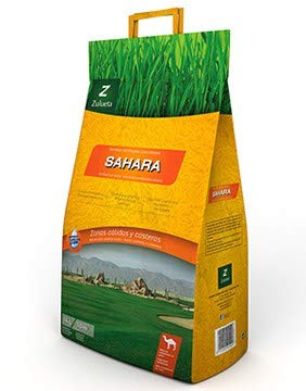 Semilla Césped bajo consumo Sahara Zulueta 5 Kg